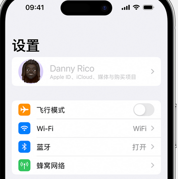 册亨appleID维修服务iPhone设置中Apple ID显示为灰色无法使用