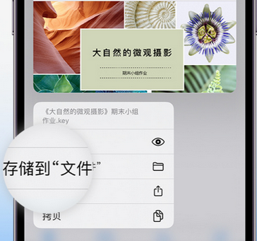 册亨apple维修中心分享iPhone文件应用中存储和找到下载文件