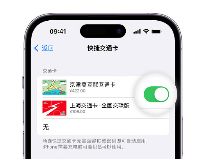 册亨apple维修点分享iPhone上更换Apple Pay快捷交通卡手绘卡面 