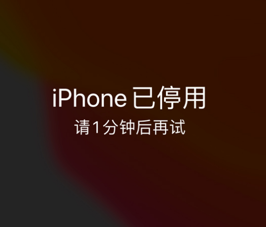 册亨苹果手机维修分享:iPhone 显示“不可用”或“已停用”怎么办？还能保留数据吗？ 