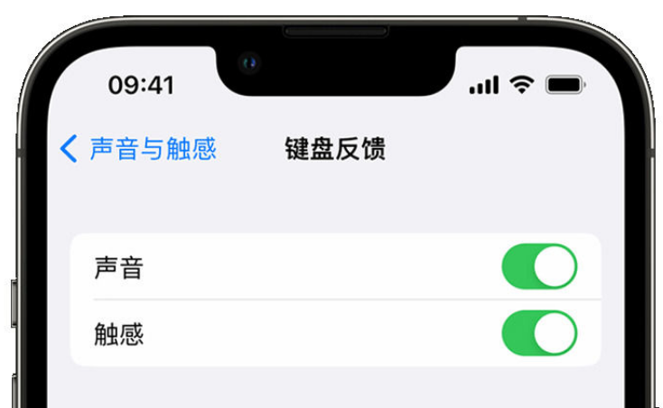 册亨苹果手机维修分享iPhone 14触感键盘使用方法 