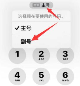 册亨苹果14维修店分享iPhone 14 Pro Max使用副卡打电话的方法 