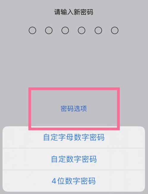 册亨苹果14维修分享iPhone 14plus设置密码的方法 