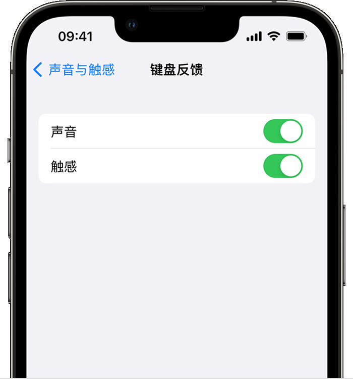 册亨苹果14维修分享iPhone 14 系列机型如何开启键盘声音或触感反馈 