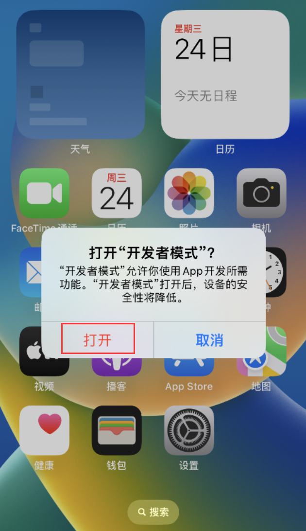 册亨苹果手机维修分享如何打开开发者模式 