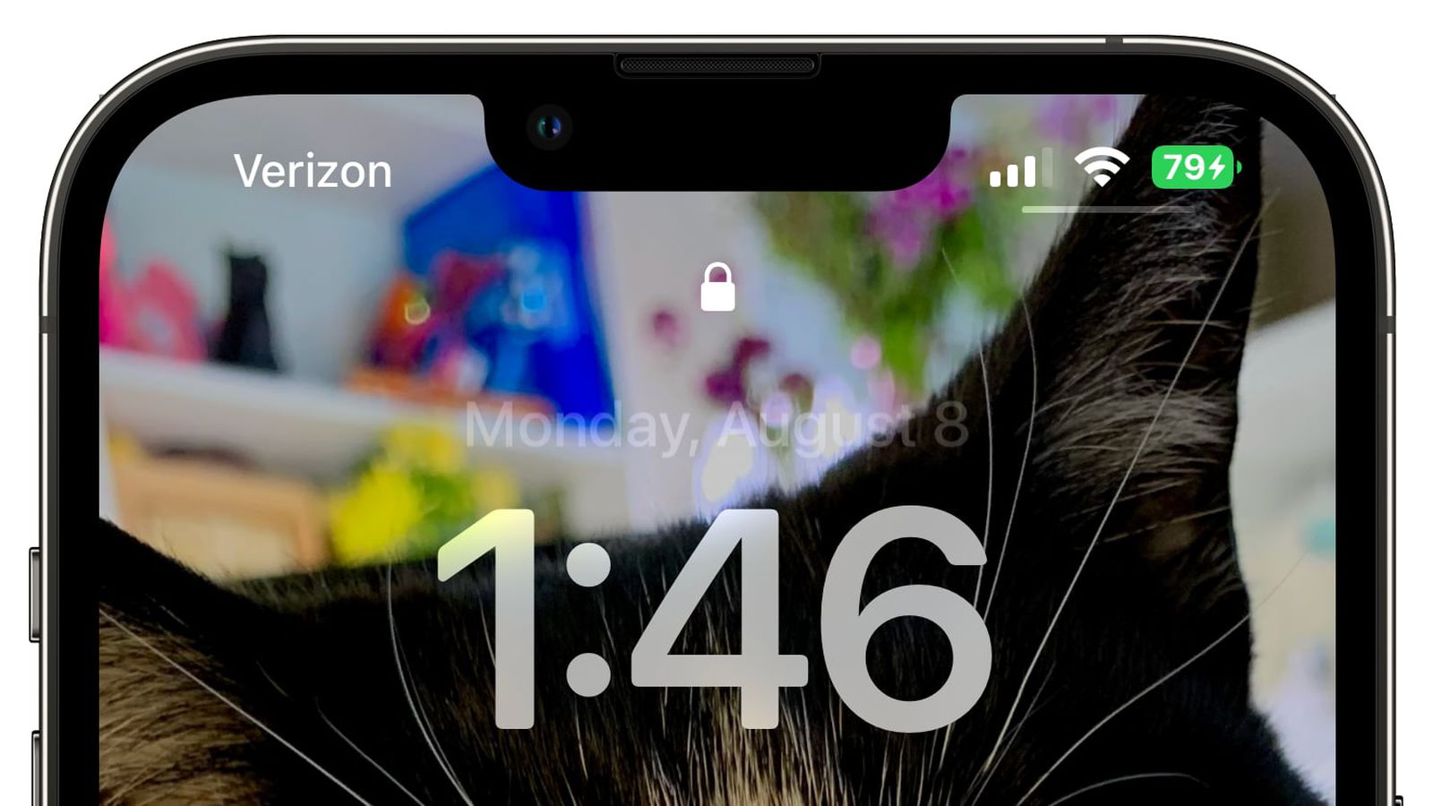 册亨苹果手机维修分享iOS 16 beta 5 支持状态栏显示电池百分比，如何开启？支持哪些机型 