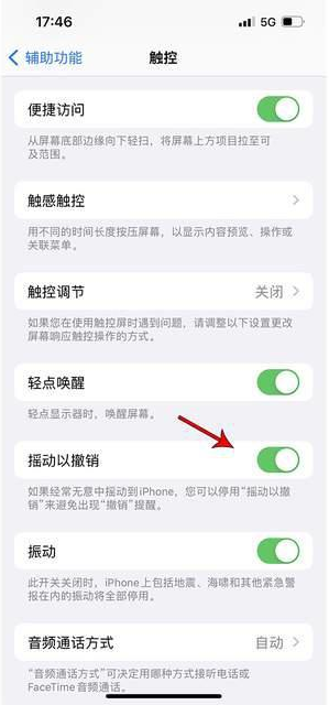 册亨苹果手机维修分享iPhone手机如何设置摇一摇删除文字 