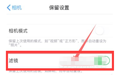 册亨苹果13维修分享iPhone13拍照有绿点是怎么回事 