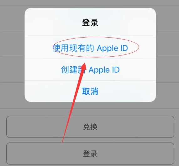 册亨苹果手机维修分享两台iPhone设备可以同时登录一个Apple ID吗 