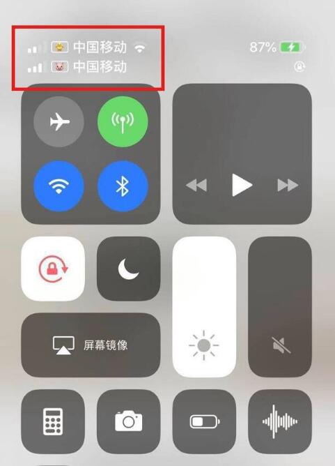 册亨苹果手机维修分享为 iPhone 12 双卡设置标签 